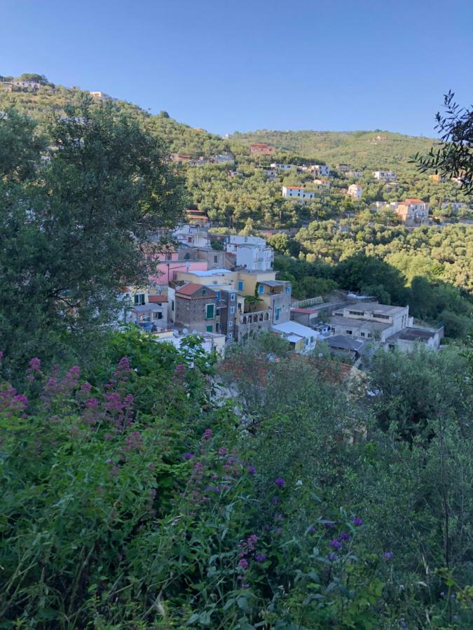 Petit Maison Jeranto Nerano Εξωτερικό φωτογραφία